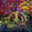 Cover Seeds