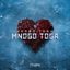 Cover Mnogo toga