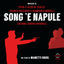Cover Song 'e Napule