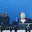 Cover The Winter Collection