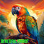 Cover Beautiful Parrot