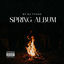 Cover Spring Album, Pt. 2