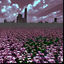 Cover flowerfield
