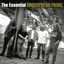 Cover The Essential Widespread Panic