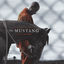 Cover The Mustang (Original Motion Picture Soundtrack)