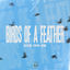 Cover BIRDS OF A FEATHER (Techno Mix)
