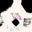 Cover From the Void
