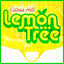 Cover Lemon Tree