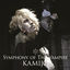Cover Symphony Of The Vampire