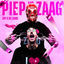 Cover PIEP vs ZAAG