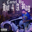 Cover Hit 4 A Bag