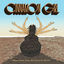 Cover Cinnamon Girl: Women Artists Cover Neil Young for Charity