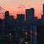 Cover Noir City