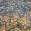 Cover Solarispellis