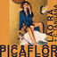 Cover Picaflor