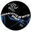 Cover Space Raiders (Charlotte De Witte Remix)