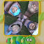 Cover wormy