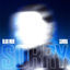 Cover Sorry