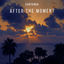 Cover After The Moment