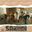 Cover Sakudi