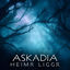 Cover Heimr Liggr