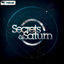 Cover Secrets Of Saturns