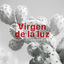 Cover Virgen de la Luz