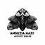 Cover Amnezia Haze