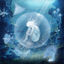 Cover oyster