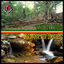 Cover Retour aux sources