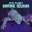 Cover Marine Iguana