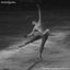 Cover Twelve Embers Adrift