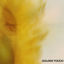 Cover Golden Touch