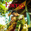 Cover Energy