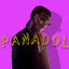 Cover Panadol