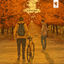 Cover Alley Of Trees