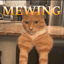 Cover Mewing