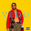 Cover VEDO