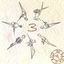 Cover 3