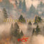 Cover Automne Gold