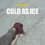 Cover Cold as Ice