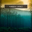 Cover Ambient Spirit