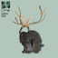 Cover Genghis Khan