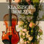 Cover Klassische Walzer mit Orchester