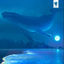 Cover Dreamtime