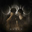Cover ODIO