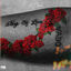 Cover King Of Love