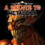 Cover A Salute To Metallica
