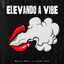 Cover Elevando a Vibe