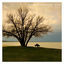 Cover World Before You